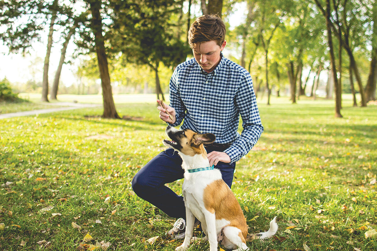 Dog owner
